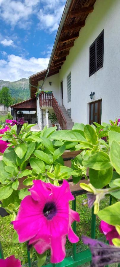 Apartment Apartma Pr' Ivani Miskorinovi