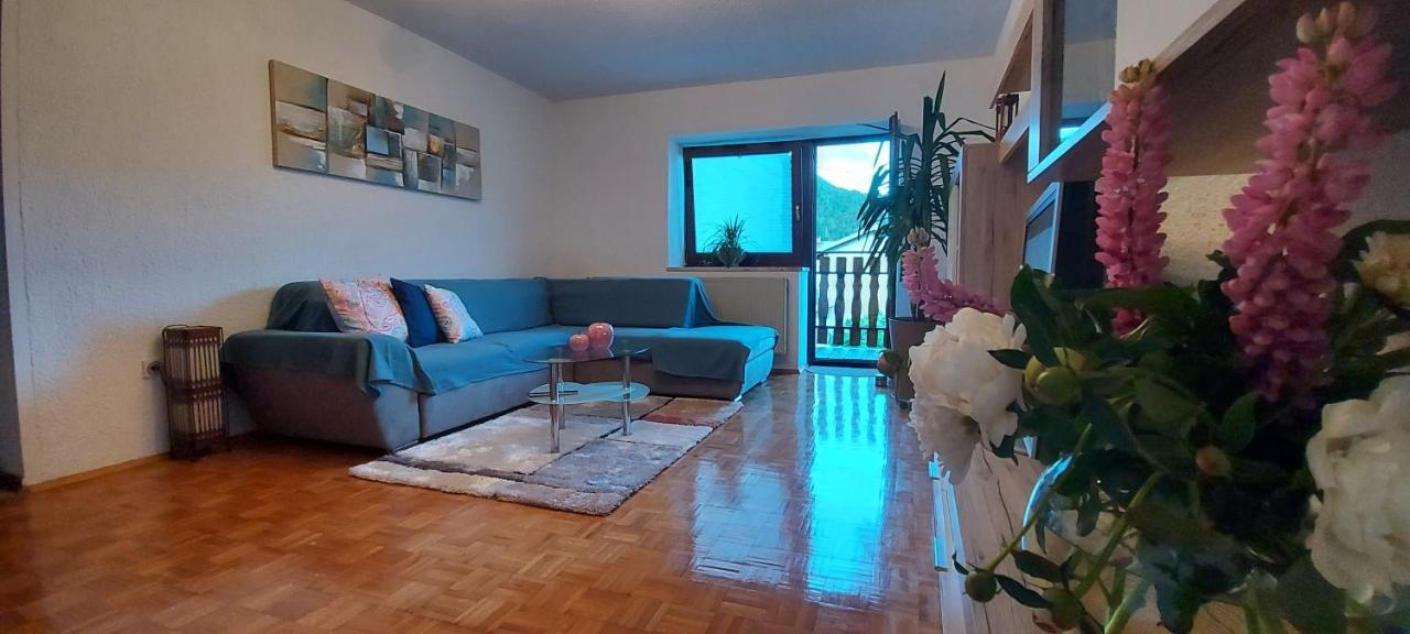Apartma Pr' Ivani Miskorinovi Breginj
